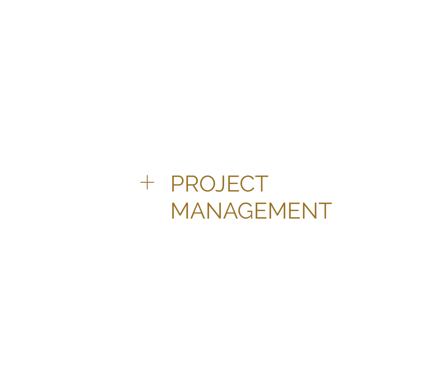 <strong>+</strong> PROJECT MANAGEMENT