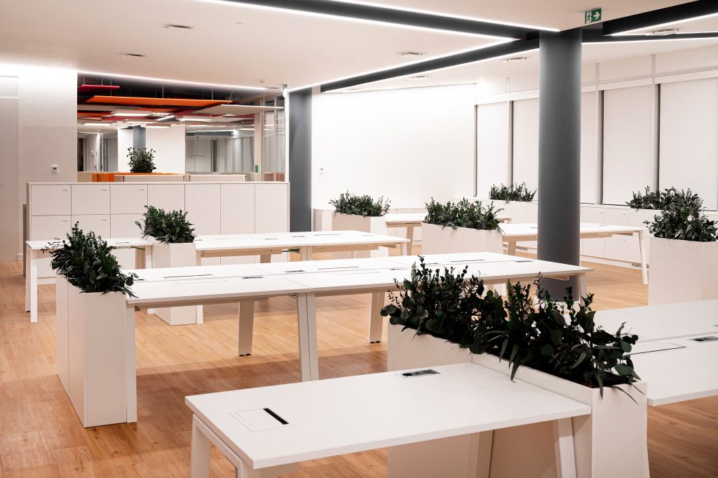 Fotografia apresentando o conceito de Open Space, estações de trabalho no projeto Sede Banco Primus, localizado em Oeiras, Portugal.