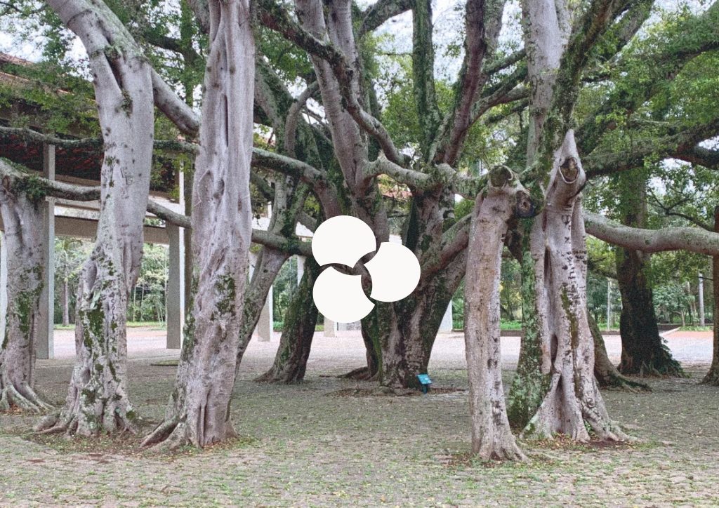 Fotomontagem apresentando a Relação do conceito e essência no projeto Logótipo HJCC, localizado em Lisboa, Portugal.
