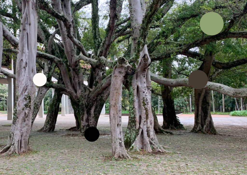 Fotomontagem apresentando a Paleta de cores com base na natureza no projeto Logótipo HJCC, localizado em Lisboa, Portugal.