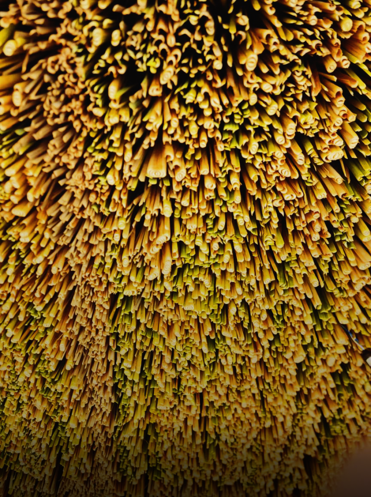 Fotografia apresentando o Detalhe de acabamento taboa no projeto Hotel Nanii, localizado em Rio Grande do Norte, Brasil.